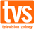 Channel logo
