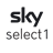 Channel logo