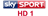 Channel logo