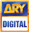 Channel logo